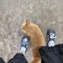 한마루빌딩 | [일상] 이모 잘먹지? 9월 첫째 주~둘째 주🍚