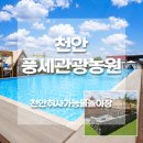 지금관광농원 | 천안 풍세관광농원 취사가능 수영장 내돈내산 솔직후기｜예약방법·가격정보·부대시설 총정리