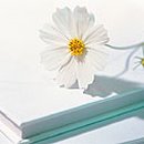 이영춘「풀잎」 이미지