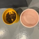 대룡산길 | 강원도 춘천 애견동반 독채펜션 [뚱새스테이] 남이섬 애견동반 가족여행