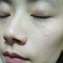 봉황목장 이미지