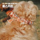 뮤니쿤트 | 강아지 쿨스카프 추천 여름 산책 필수템 뮤니쿤트 후기