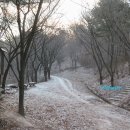 제바위세천 Daum카페