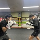 전일복싱클럽(진월관) 이미지