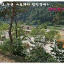 충남유토피아