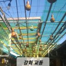 교동육수공방 이미지