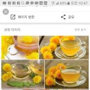 지리산민들레 이미지