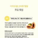 제이부띠 이미지