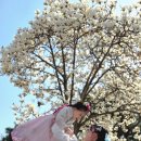 더 귀족 | 전주한옥마을한복 귀족의상실 한복대여 찐만족후기