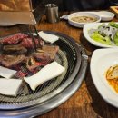 달에서온토끼학원