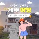 원만화장실 | 서귀포/표선 1인 숙소 끝판왕! 단독 화장실까지 갖춘 [제주도게스트하우스 도토리] 솔직 후기