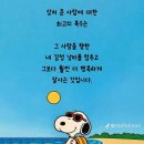 경기도 수원시 영통구 청명남로4번길 이미지