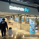 문화가 있는 날 ''시 노래되다'' | [청주 문화산업단지/챔피언 1250] 원더아리아 대형 키즈 놀이터 후기