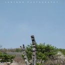 화령초교 Daum카페