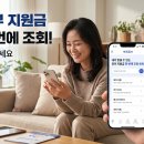[시니어(60세 이상)] 즐거운 스마트폰 활용 | 내가 받을 수 있는 정부 지원금 한 번에 조회하는 법: 숨은 돈 50만 원 찾은 실제 후기와 신청 팁