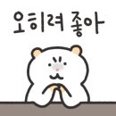 화끈한닭발러