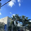 다모아 피자 | 하와이🌺 마트탐방/코스트코/월마트/돈키호테/abc스토어🏪/타겟🎯