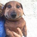 삼성사우나 이미지