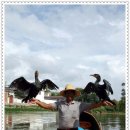 코리아나여관 이미지