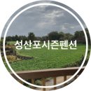성산포시즌펜션 이미지