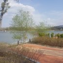 임당지구2 이미지