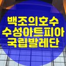 지그프리드 | [대구백조의호수]국립발레단 수성아트피안 공연 후기