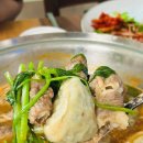 오시오칼국수 | 대전 지족동 맛집 오시오칼국수 본점 소고기 샤브칼국수 녹두전 후기