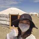F72 | 몽골 여행 헝거링 엘스 Juulchin Gobi camp 여행자 게르 후기