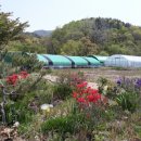 명계농장 이미지