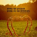 모닝써치 네이버블로그