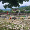 어라운즈 | [충청북도 단양군] 단양팔경~추사 김정희도 반한 단양 사인암 보러가요!