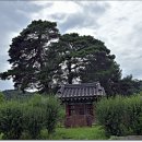 차윤
