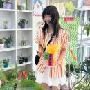 청주 성안길 컬러풀하고 트렌디한 꽃집 추천 :: 디핑숲 DEPPING SOOP 후기