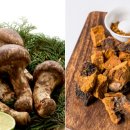 송이‧표고‧차가버섯… 종류별 효능과 요리법은? 이미지