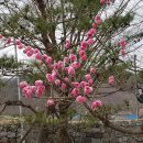마천중학교 | ‘21.3.24.남원시. 함양군 문화재 답사