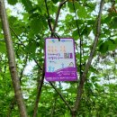 김삿갓면-12 이미지