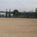 수정-115 이미지