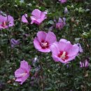 주식회사 늘친구처럼 이미지