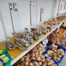 싹쓰리과일야채
