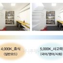 푸른조명 - 목포시 양을로190번길 2 | 푸른조명