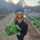 용대농장 이미지