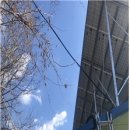 태연 태양광발전소 이미지