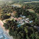 오리엔탈 이미지