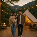 또바기콘도 | 경기 애견동반 글램핑, 서울 근교 반려견 캠핑장 추천