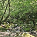 연하공중화장실 이미지