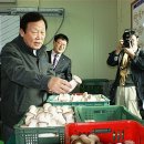 영농조합법인그린농산 이미지