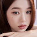 그레이앤베이지 이미지