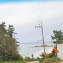 36.오도B