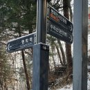 수리산 임도오거리 화장실 이미지