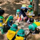 인후유치원 이미지